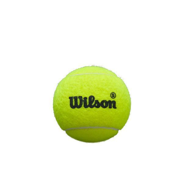 М&rsquo;ячі для паделу BOTE BOLAS WILSON PREMIER PADEL 113567-P фото
